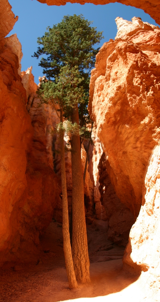 06 - Bryce Canyon NP (0).jpg